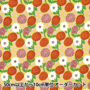 y5z n wkippis (LbsX) IbNX _A CG[ KPO-93Ax