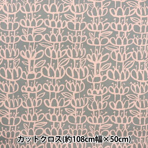 n wkippis (LbsX) IbNX JbgNX 108×50cm  CgO[ KPOK-83Bx