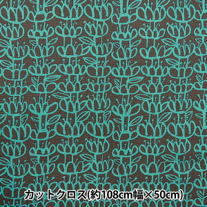 n wkippis (LbsX) IbNX JbgNX 108×50cm  `R[ KPOK-83Cx