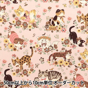 y5z n wIbNX ptAj} Lt[ sN YGA-81050-1Bx KOKKA RbJ