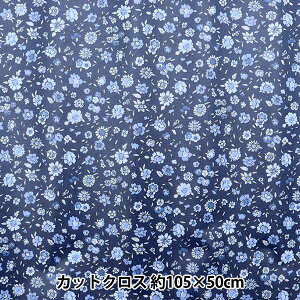 n wV[eBO ԕ ~l[gJbgNX 108cm×50cm lCr[ C-RYUZ-708-3xYUWA L֏X