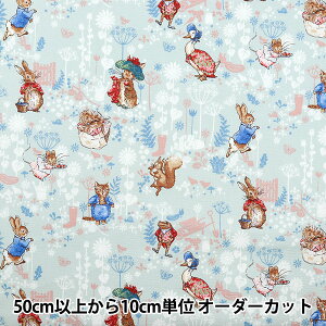 y5z n wIbNX s[^[rbg NVbNK[f u[ PRO-10Ax