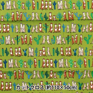 n wXPA JbgNX ~[ALbg 110cm×50cm O[ C-5050-5DGR