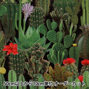 サボテン 生地の通販 価格比較 価格 Com