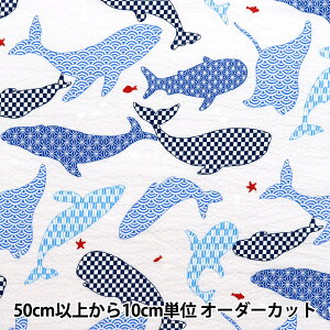 y5z n wbv CɓV[Y C̐ ItzCg MOWR-32-OWx KIYOHARA 
