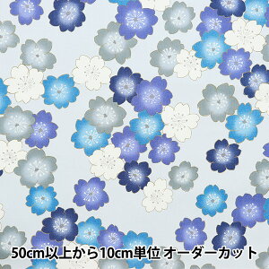 y5z n wVʈz V[eBO  TbNX YUZ-910-2x yUIWiz