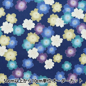 y5z n wVʈz V[eBO  u[ YUZ-910-3x yUIWiz