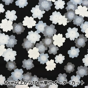 y5z n wVʈz V[eBO  ubN YUZ-910-4x yUIWiz