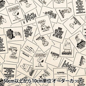 y5z n wIbNX s[ibc75N J[h  823566x