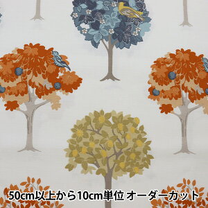 y5z n wCLARKE&CLARKE Ɩ fj XpCX F1317-01x