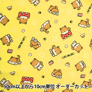 y5z n wIbNX SH΂ʂ܂ CG[ 771102-YOx