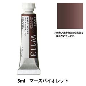 G wʊG W113 }[XoCIbg HWC2x HOLBEIN zxC