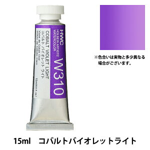 G wʊG HWC5 W310 RogoCIbgCgx HOLBEIN zxC