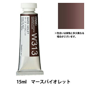 G wʊG HWC5 W313 }[XoCIbgx HOLBEIN zxC