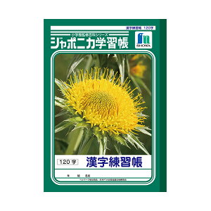 m[g wK 120 B5 JL-50-2x VEm[g