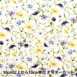 y5z n w60[ {^jJ NFA60960-961Bx KOKKA RbJ