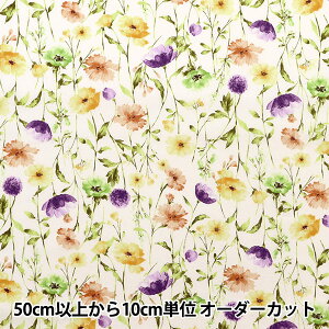 y5z n w60[ {^jJ NFA60960-961Cx KOKKA RbJ