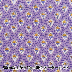 y5z n wSOULEIADO \CA[h V[`O veBbgEt[EfEV O[v SLF-518Zx