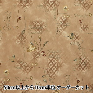 y5z n wHciq V[eBO NC[YCObV uE AK829867-Ex YUWA L֏X