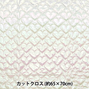 n wn[gzOLgJbgNX 65cm×70cm zCg C-HS2256-1WHx