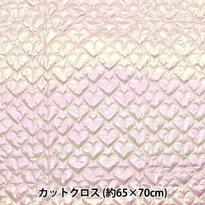 n wn[gzOLgJbgNX 65cm×70cm sN C-HS2256-2PIx