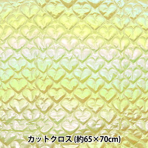 n wn[gzOLgJbgNX 65cm×70cm CG[ C-HS2256-4YEx