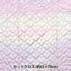 n wn[gzOLgJbgNX 65cm×70cm x_[ C-HS2256-5LAx