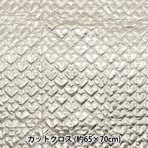 n wn[gzOLgJbgNX 65cm×70cm Vo[ C-HS2256-8SIx