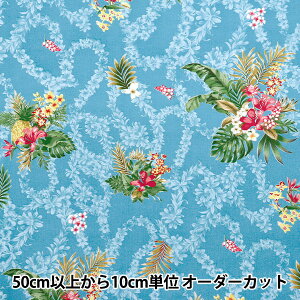 y5z nwV[eBO AChX^C LV[} ivA u[ 02542-2BLx