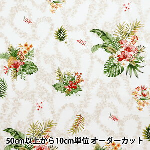 y5z nwV[eBO AChX^C LV[} ivA x[W 02542-4WHx