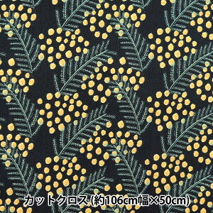 n wkippis (LbsX) V[`O JbgNX 110×50cm ~U ubN KPSK-80Cx