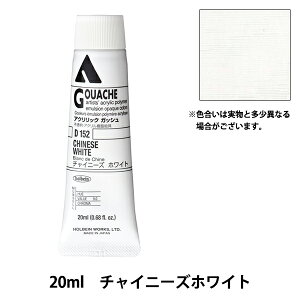 �G�� �w�A�N�����b�N�K�b�V�� D152 �`���C�j�[�Y�z���C�g HAG6���x HOLBEIN �z���x�C��