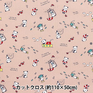 n wV[`O Qp_̊C JbgNX 110×50cm NX~sN C-ACS1113-Bx