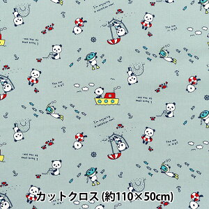 n wV[`O Qp_̊C JbgNX 110×50cm NX~u[ C-ACS1113-Cx