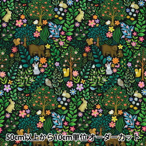 y5z n w60[fW^vg 22fabric ؂[t ubN DP-4440-1Cx