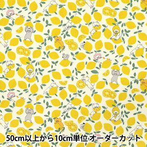 y5z n wu[h ˂ AC{[ KTS7121-Ax COTTON KOBAYASHI Rbg΂₵ ё@