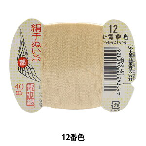 D wsH D 9 40m J[h 12ԐFx 单N