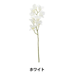 y1000~|bLz  VNt[ wft@ zCg VD-4012-WHx yyVX[p[SALEz