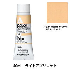 �G�� �w�A�N�����b�N�K�b�V�� D741 ���C�g�A�v���R�b�g(���t���b�V��) HAG9���x HOLBEIN �z���x�C��