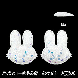 |p[c wfR[Vp[c XpR[  zCg 10-5510x