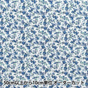 y5z n woeBEt@ubNX sJf[|v [EX 8883225-VPx Liberty Japan oeBWp