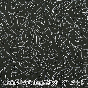 y5z n w͂|GXe [ lCr[ HP-LIL-NVx