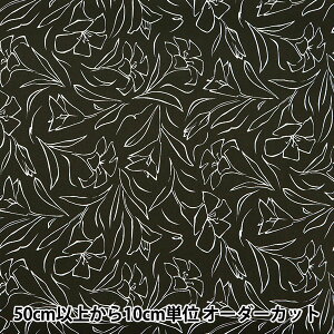 y5z n w͂|GXe [ `R[ HP-LIL-CHx