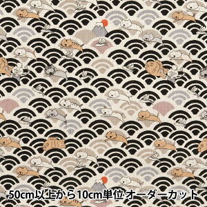 y5z n wȖLoX Cg ˂ƑĂ ubN KTS7065-Cx COTTON KOBAYASHI Rbg΂₵ ё@