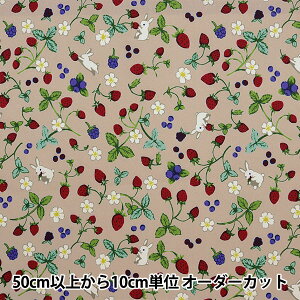 y5z n w͂|GXe C`S x[W HP-BER-BEx