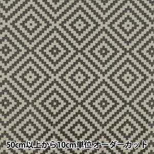 n wSAFECO WK[h JbgNX PAILLE 70cm×50cm C-PAILLE LNOx