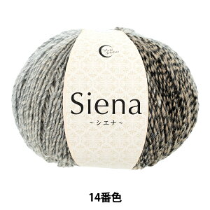 H~ю wVGi 14ԐFx World Festa [htFX^ yUIWiz