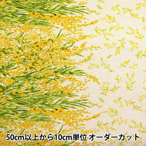 y5z n wmOmen-t [g ȖV[`O \t[H ~U Li×CG[ 144-8050-B5NAx yUIWiz