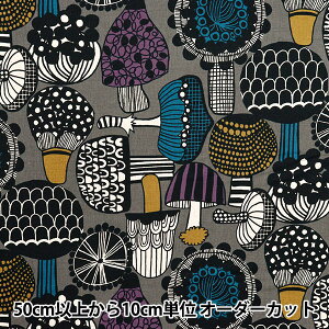 y5z n wȖLoX k O[ AP51901-2Ex