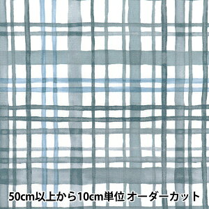 y5z n wJtLoX V[`O ʃ}``FbN O[ COCAN-MUC-GYx KOKKA RbJ